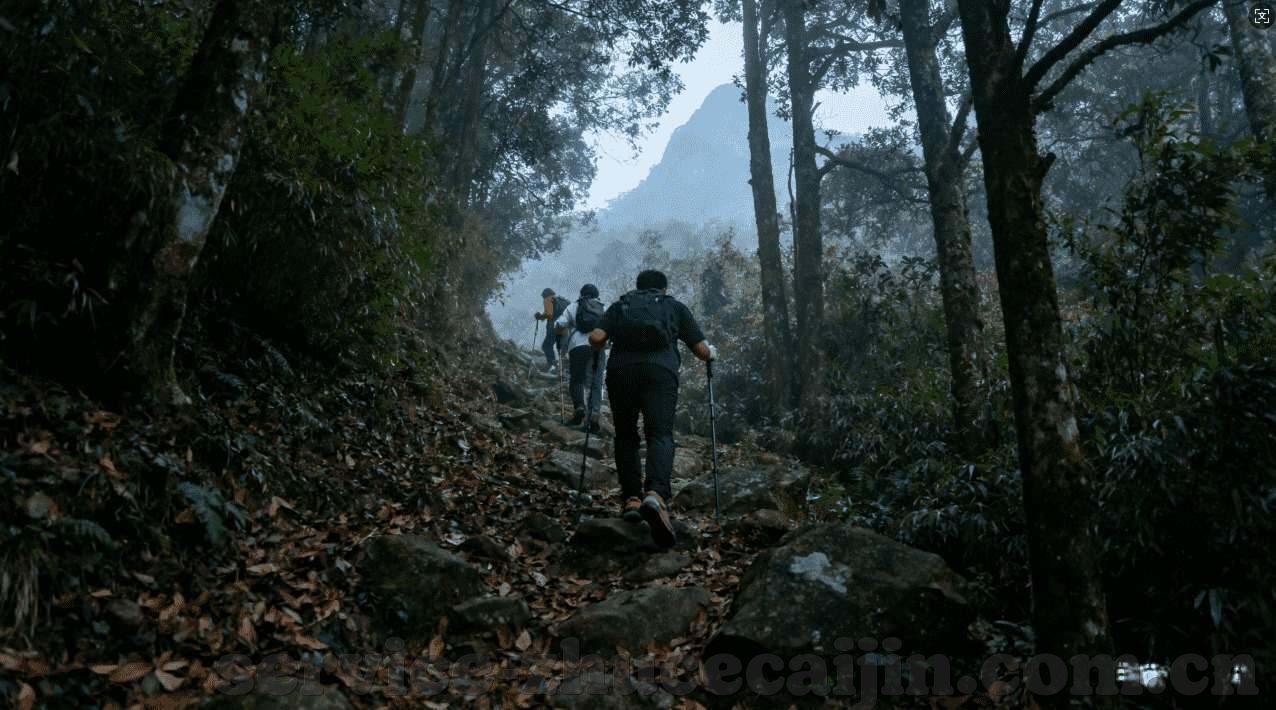世界杯下注在哪知乎-世界杯下注的热门话题，如何在知乎上找到相关信息
