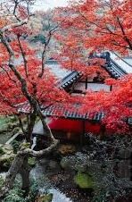 下载迷你世界九游-下载迷你世界九游，开启梦幻世界的奇妙冒险之旅