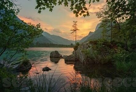 杏彩娱乐App苹果版-杏彩娱乐App苹果版，娱乐新体验，尽在掌握
